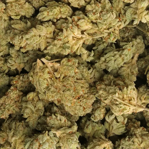 Buy GG 4 Weed Strain - Image 3