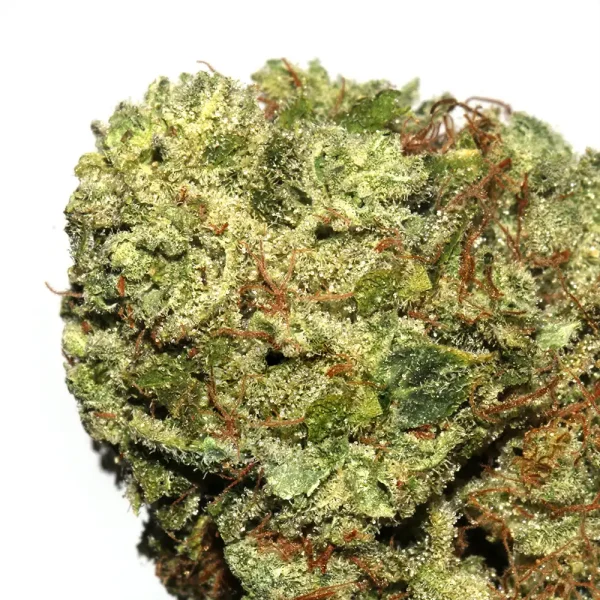 Buy GG 4 Weed Strain - Image 2