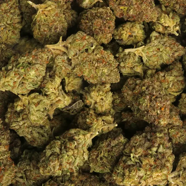 Pink Gushers Weed Strain - Image 3