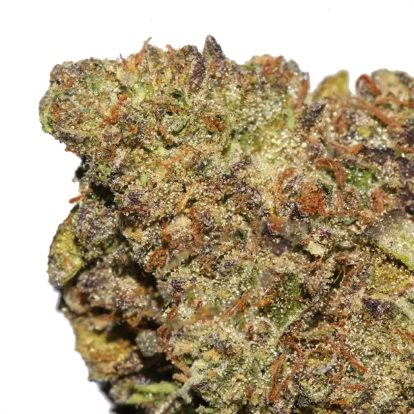 Pink Gushers Weed Strain - Image 2