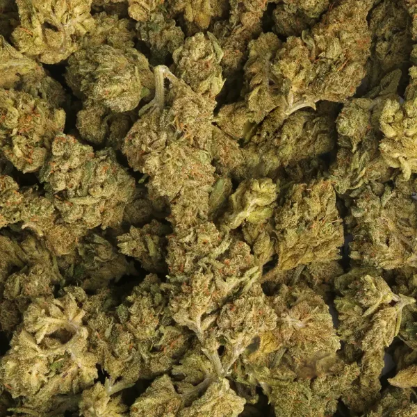 Buy Thriple Threat Weed - Image 2