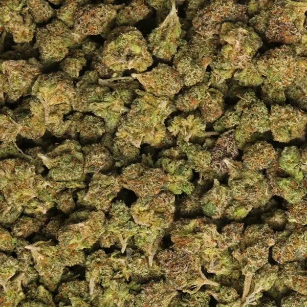 Glitter Bomb Smalls Strain - Image 2