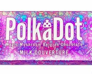 PolkaDot Chocolate Bars - Shroom Land Hub