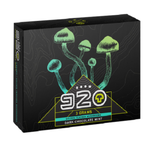 Room 920 Mushroom Chocolate Bar - Shroom Land Hub