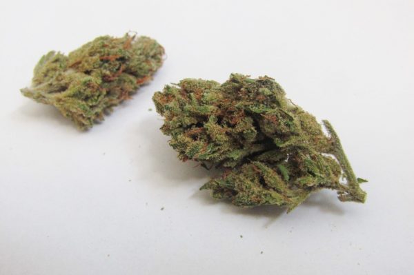 Buy Super Silver Haze Online - Image 2